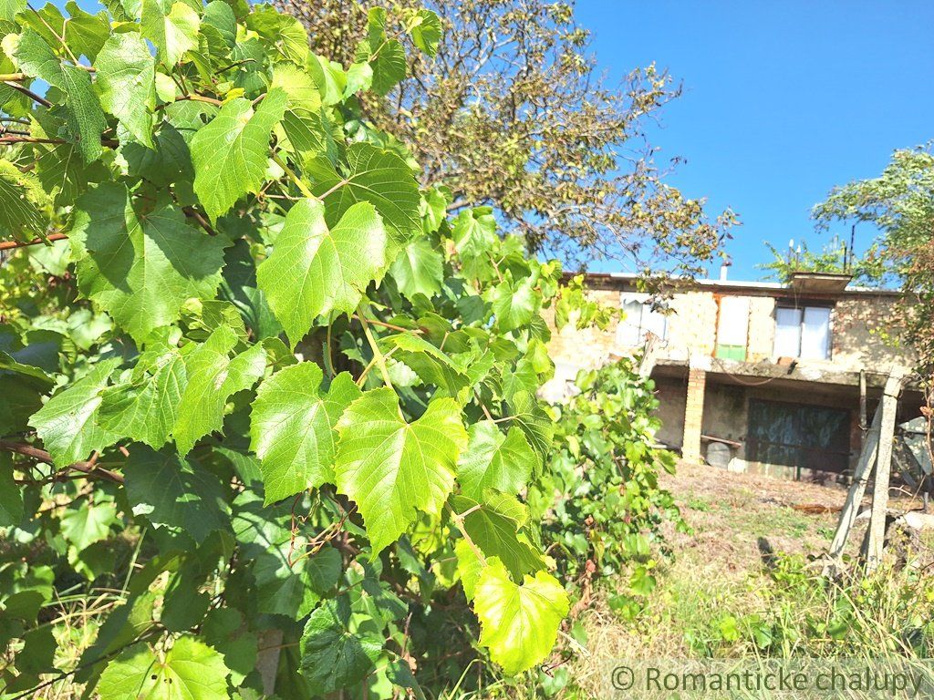 Poschodová chatka s pivnicou na okraji viničného vŕšku obce Belá