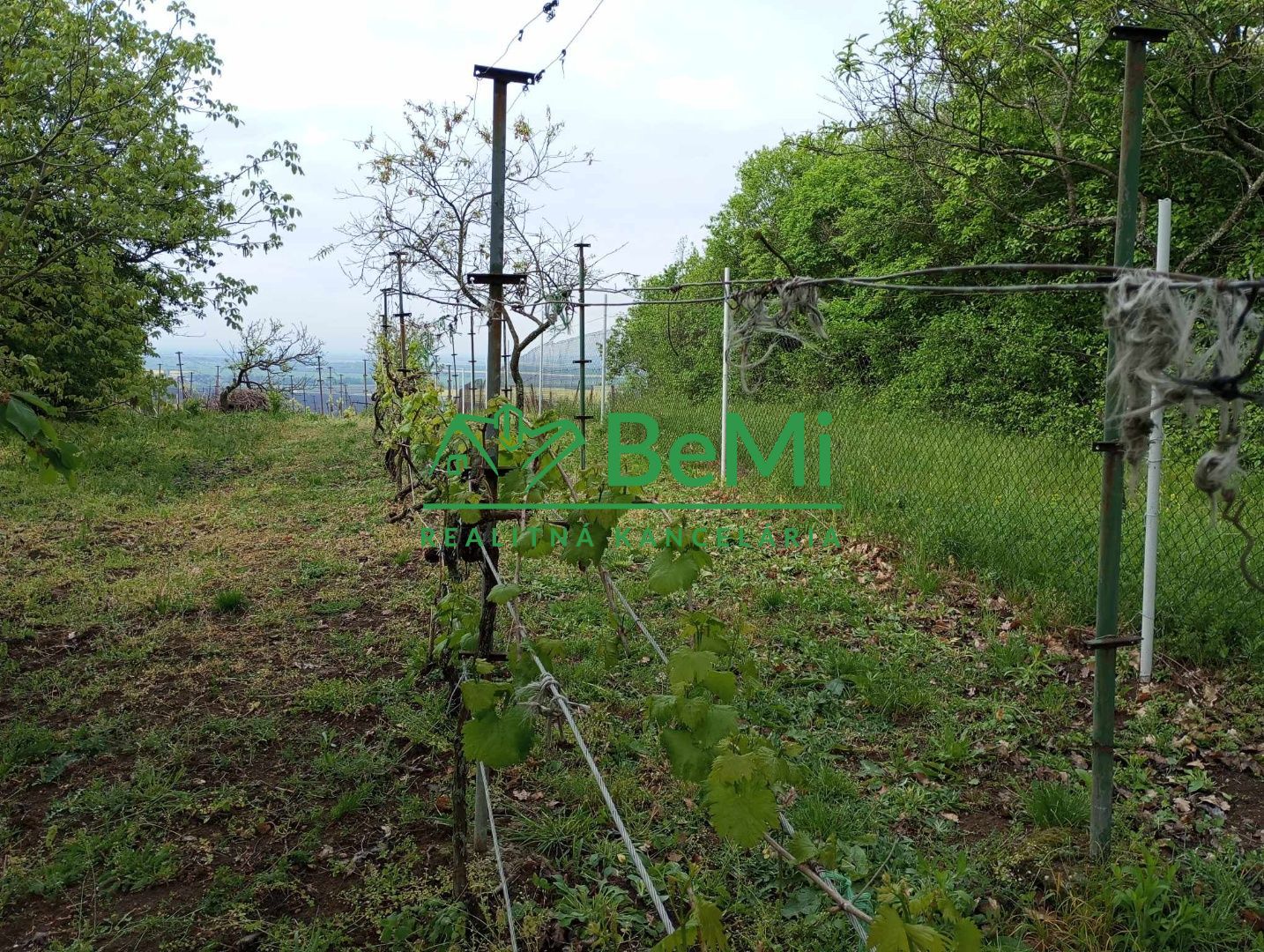 Predaj viničného domu s pozemkom - Mýtne Ludany (001-13-HEKAa)