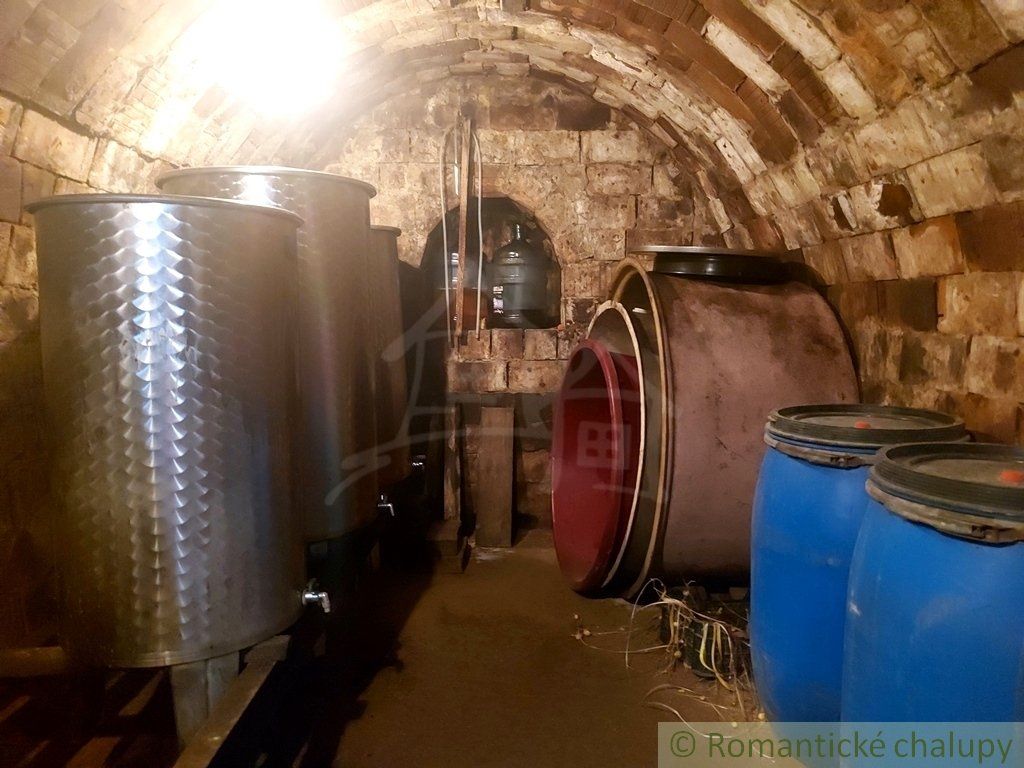 Poschodová chatka s vinohradom v malebnej dedinke Modrany
