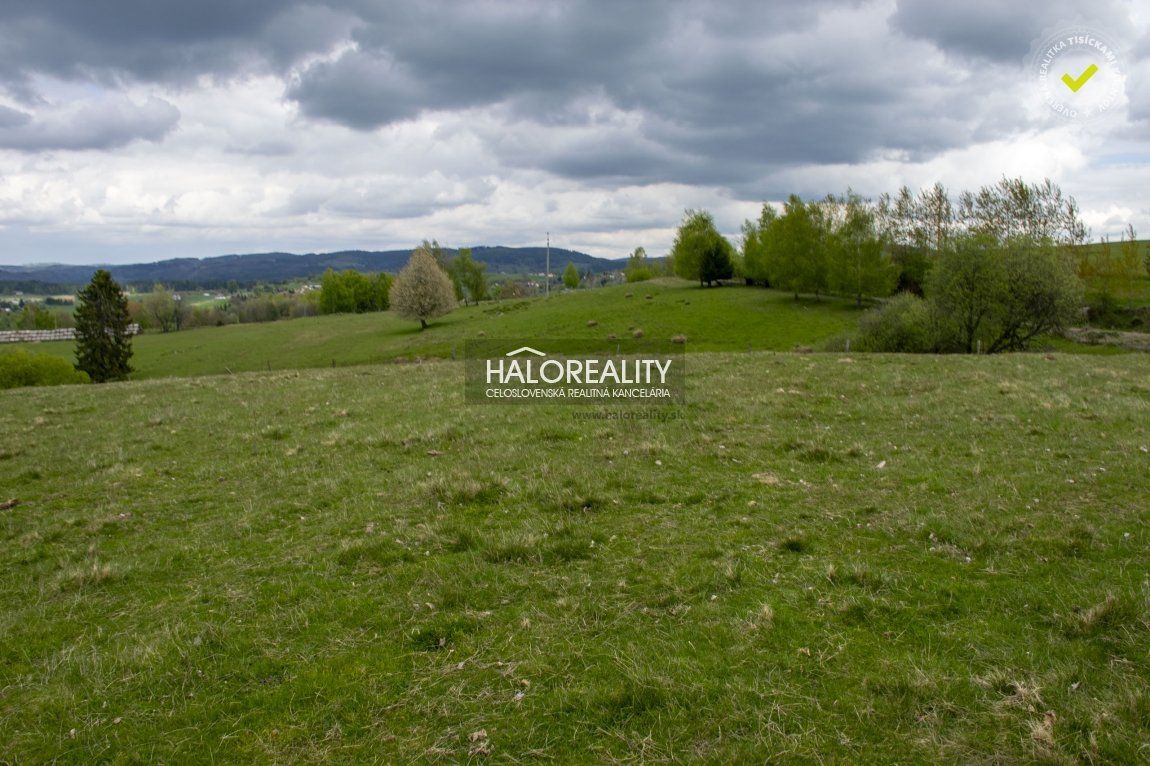 HALO reality - Predaj, rekreačný pozemok Detvianska Huta