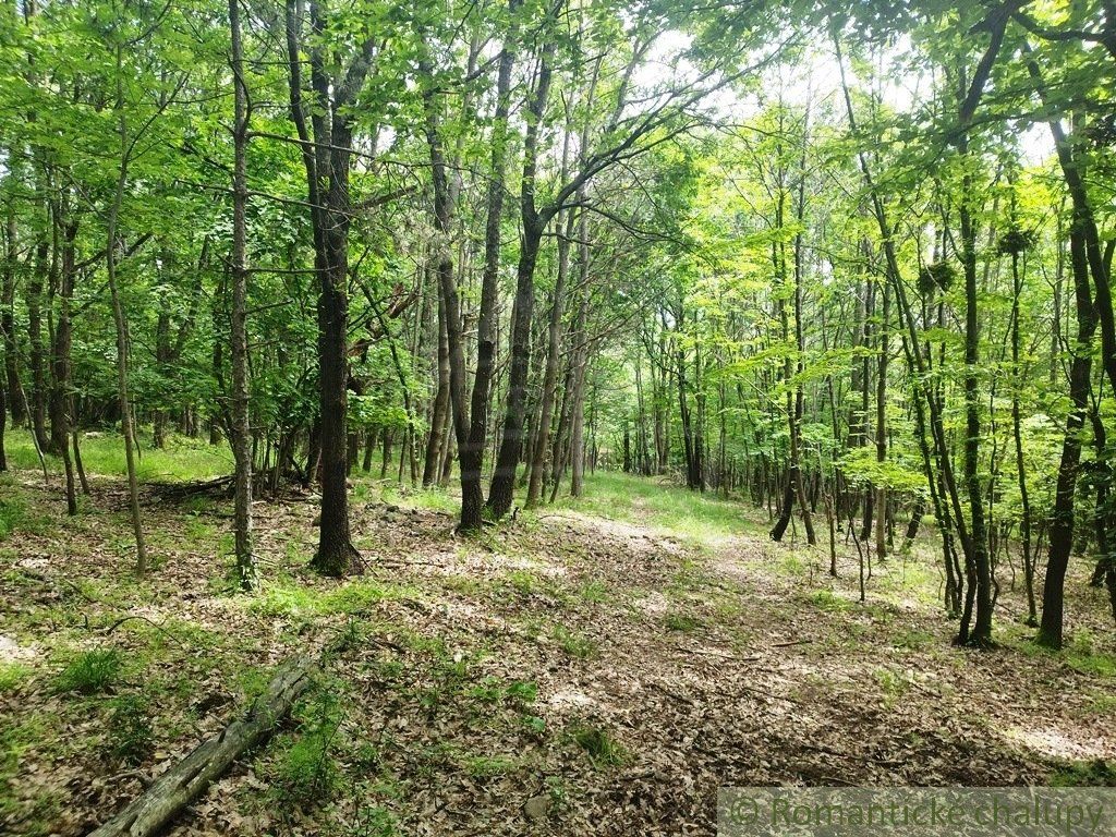 Lesné pozemky v obci Hrušov