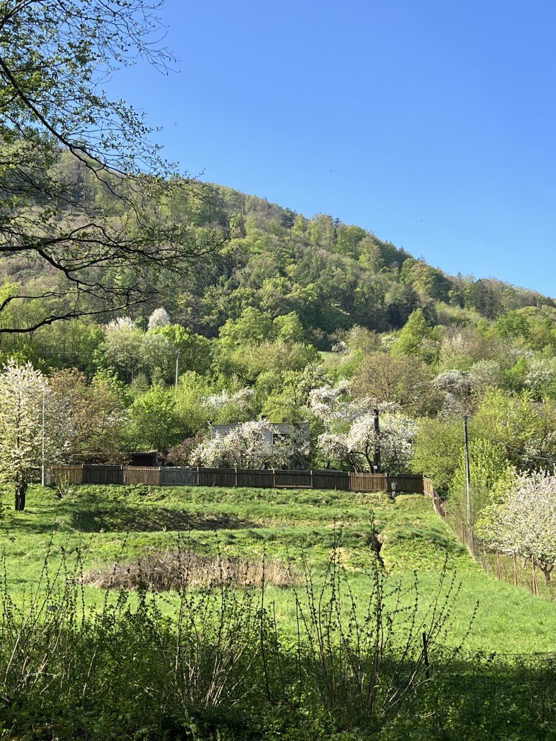 Na predaj krásny, slnečný, stavebný pozemok so stavebným povolením priamo pri lese s potokom v obci Ladce - Horné Ladce.