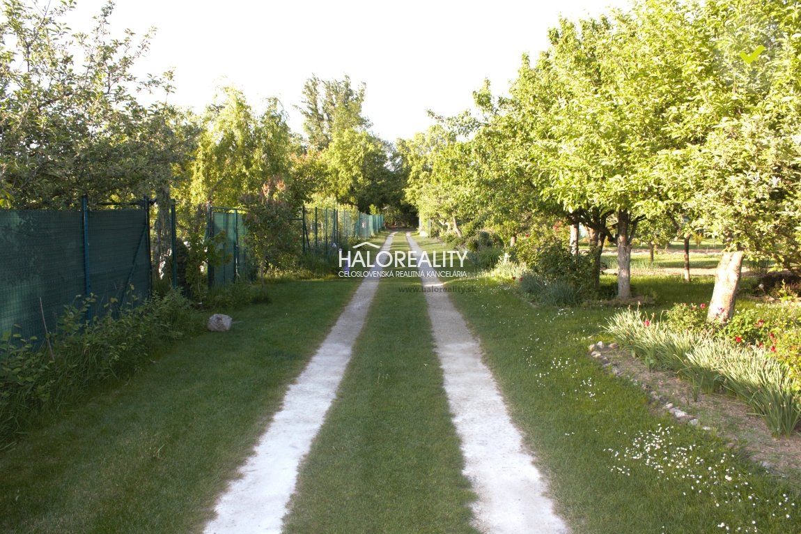 HALO reality - Predaj, chata Piešťany, Zrub - NOVOSTAVBA