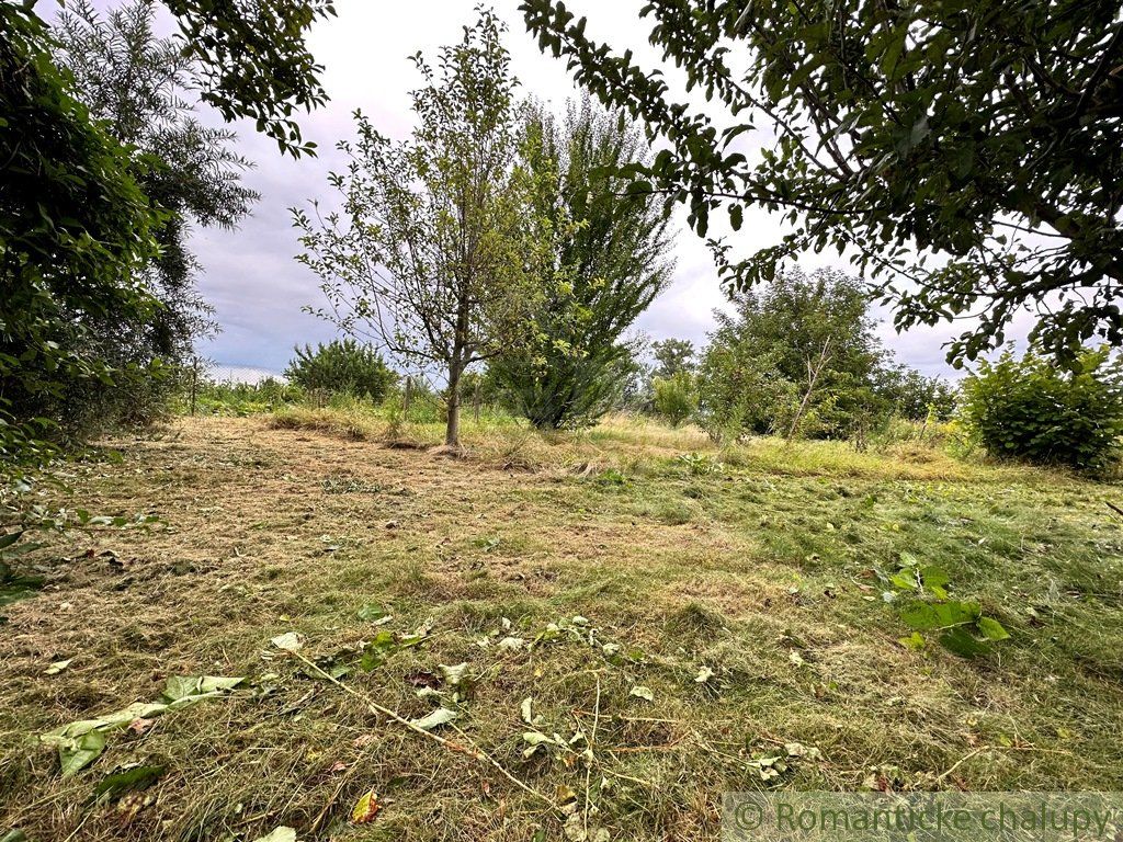 Rozľahlý pozemok na polosamote neďaleko rieky Stará Nitra v Martovciach