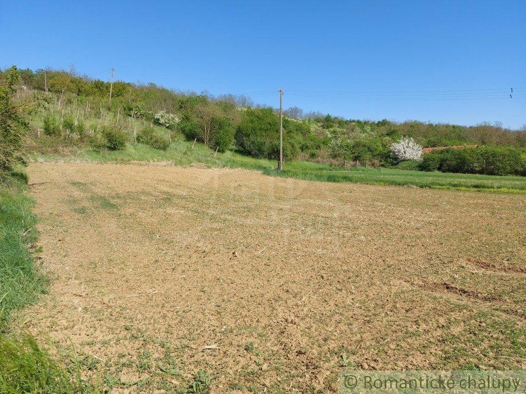 Rozľahlý pozemok na samote neďaleko prírodnej rezervácie v obci Nová Vieska