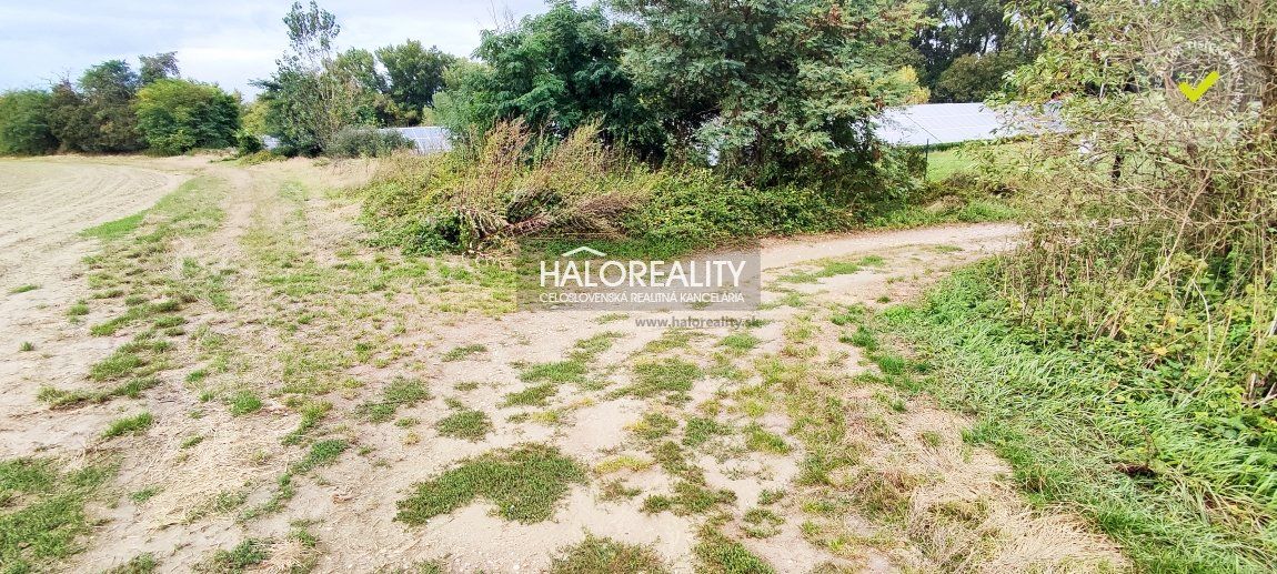 HALO reality - Predaj, orná pôda   51452 m2 Kalinkovo - EXKLUZÍVNE HALO REALITY