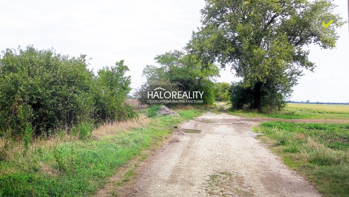 HALO reality - Predaj, orná pôda   51452 m2 Kalinkovo - EXKLUZÍVNE HALO REALITY