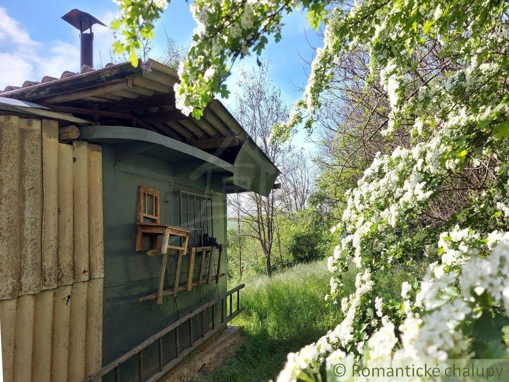 Svahovitý pozemok s krásnym výhľadom na samote blízko prírodnej rezervácie v obci Nová Vieska