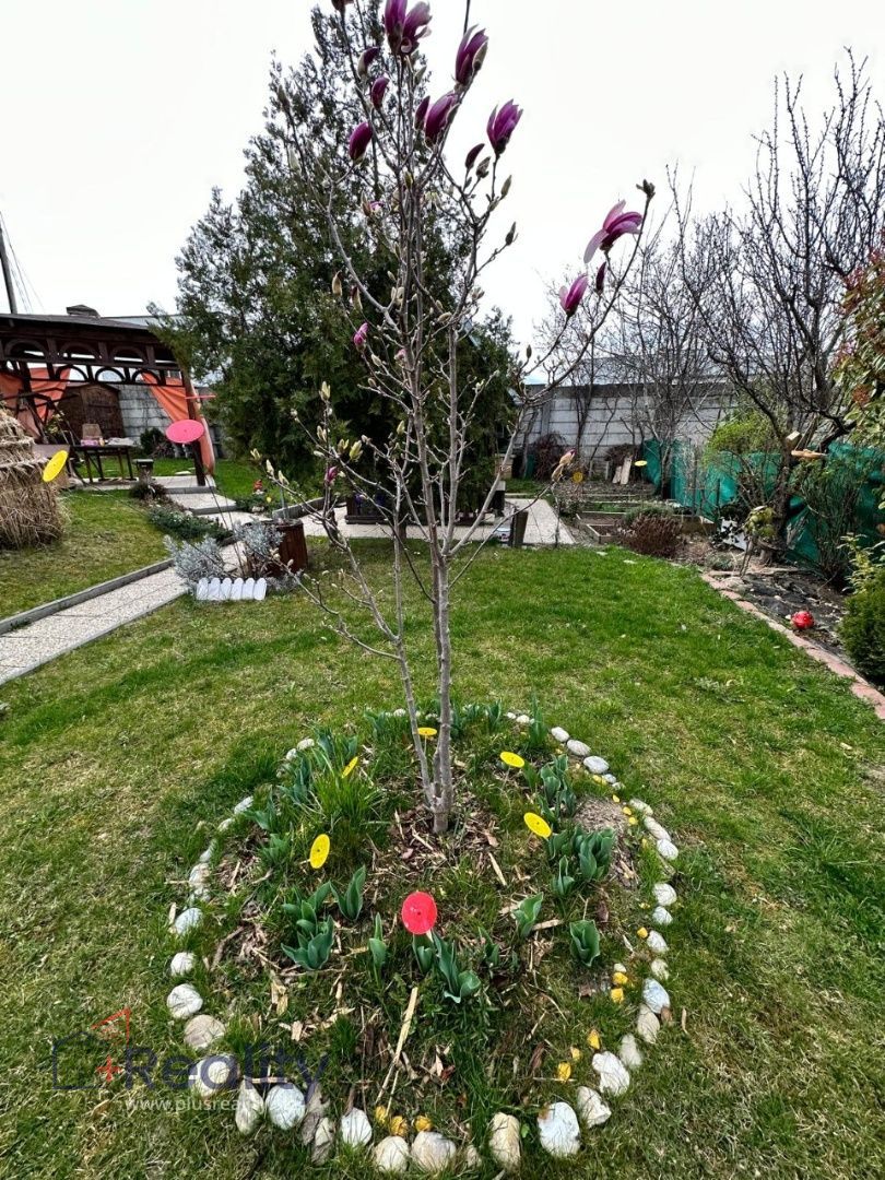 Galéria: PLUS REALITY I  Krásna relaxačná záhrada so  záhradným domčekom v záhradkárskej osade Mokráň Záhon v lokalite Bratislava Zlaté piesky na predaj! 