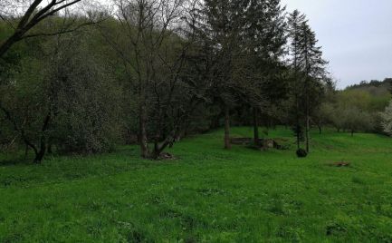 Na predaj lacný pozemok pri lese 4km od Brezovej pod Bradlom