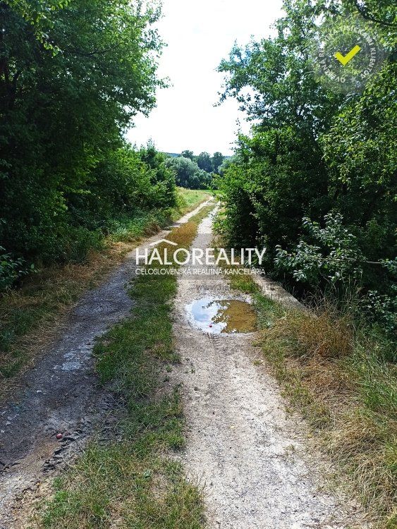 HALO reality - Predaj, rodinný dom Jablonica, Veľký pozemok 18.984m2 EXKLUZÍVNE HALO REALITY