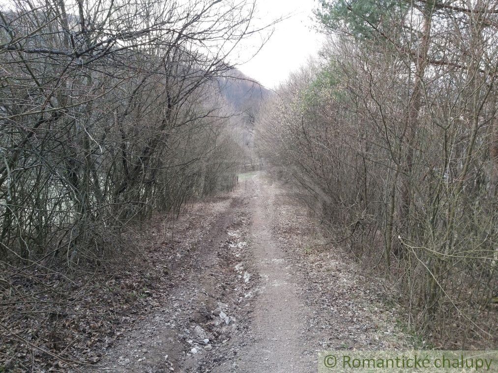 Pozemok s nádhernými výhľadmi v Púchove nad časťou Vieska-Bezdedov na predaj