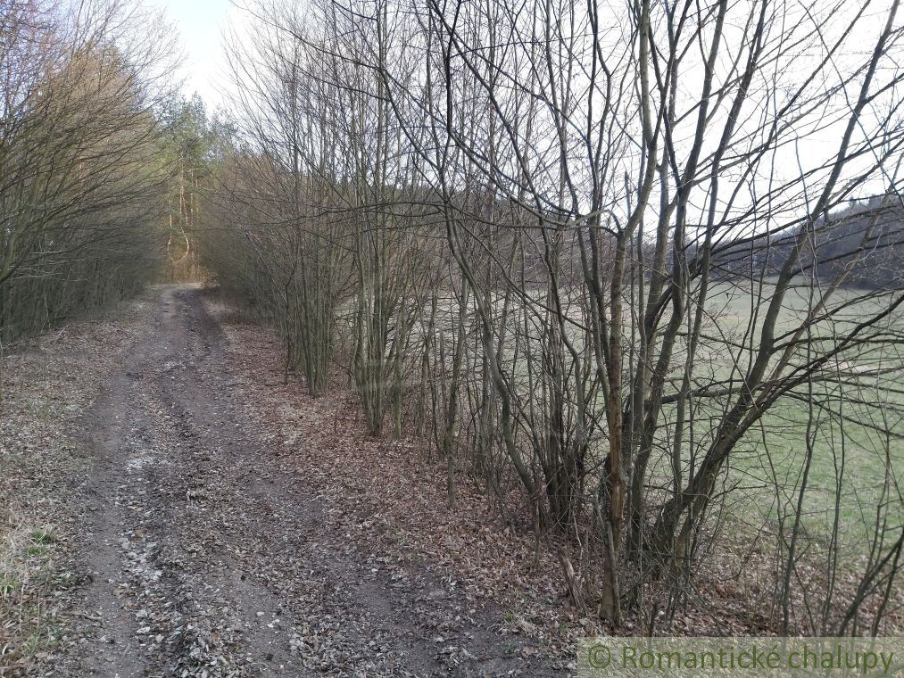 Pozemok s nádhernými výhľadmi v Púchove nad časťou Vieska-Bezdedov na predaj