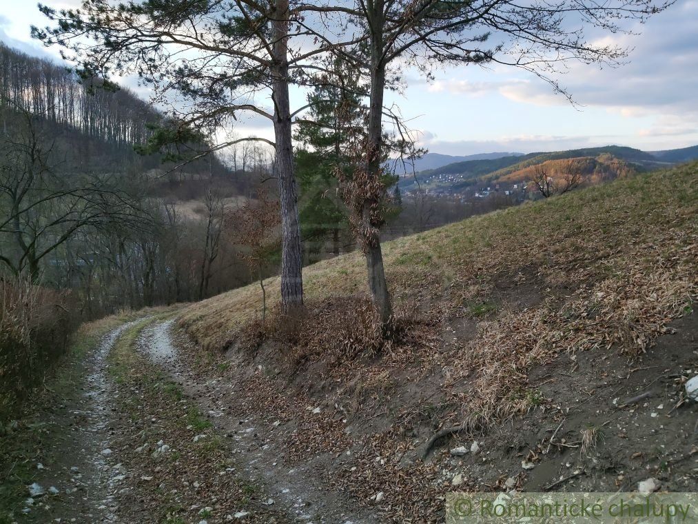 Pozemok s nádhernými výhľadmi v Púchove nad časťou Vieska-Bezdedov na predaj