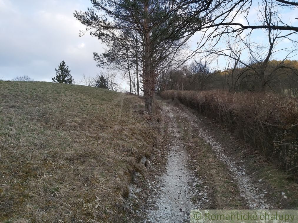 Pozemok s nádhernými výhľadmi v Púchove nad časťou Vieska-Bezdedov na predaj