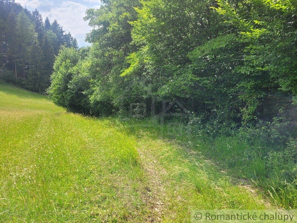 Rekreačný pozemok pri lese s krásnym výhľadom nad obcou Záriečie