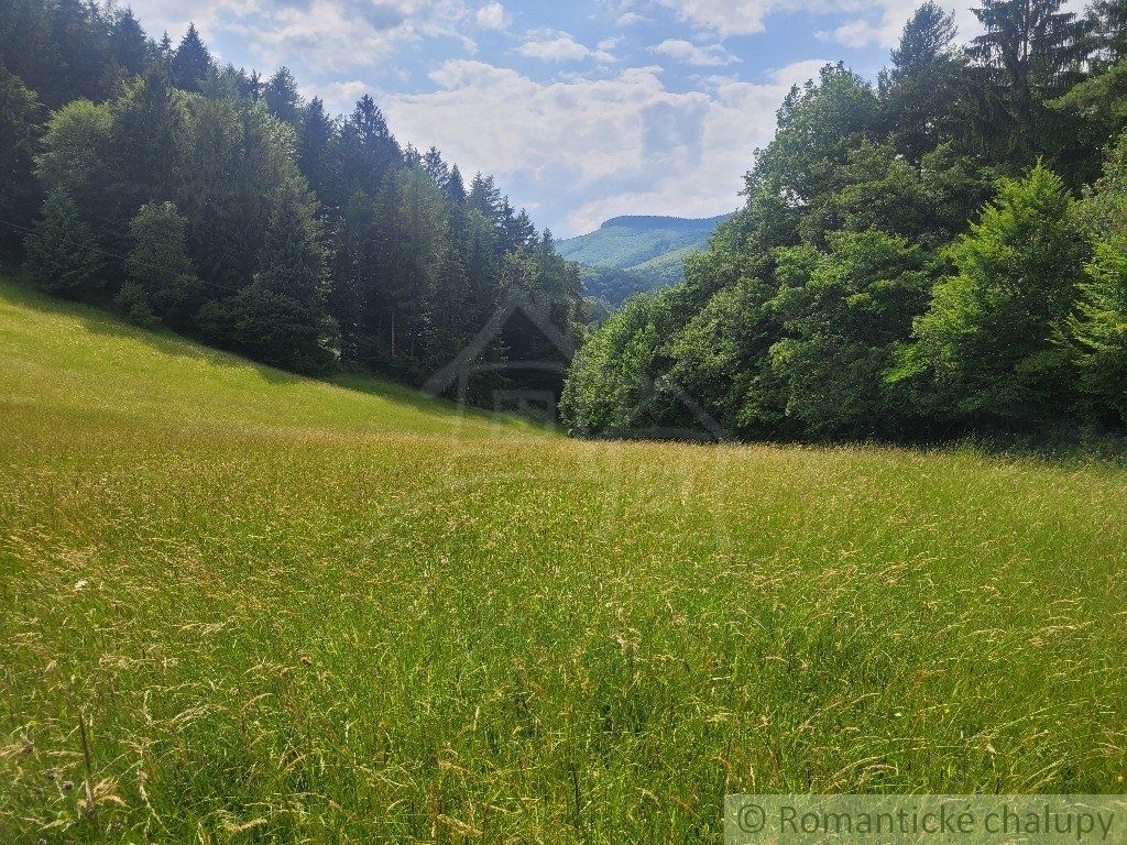 Rekreačný pozemok pri lese s krásnym výhľadom nad obcou Záriečie