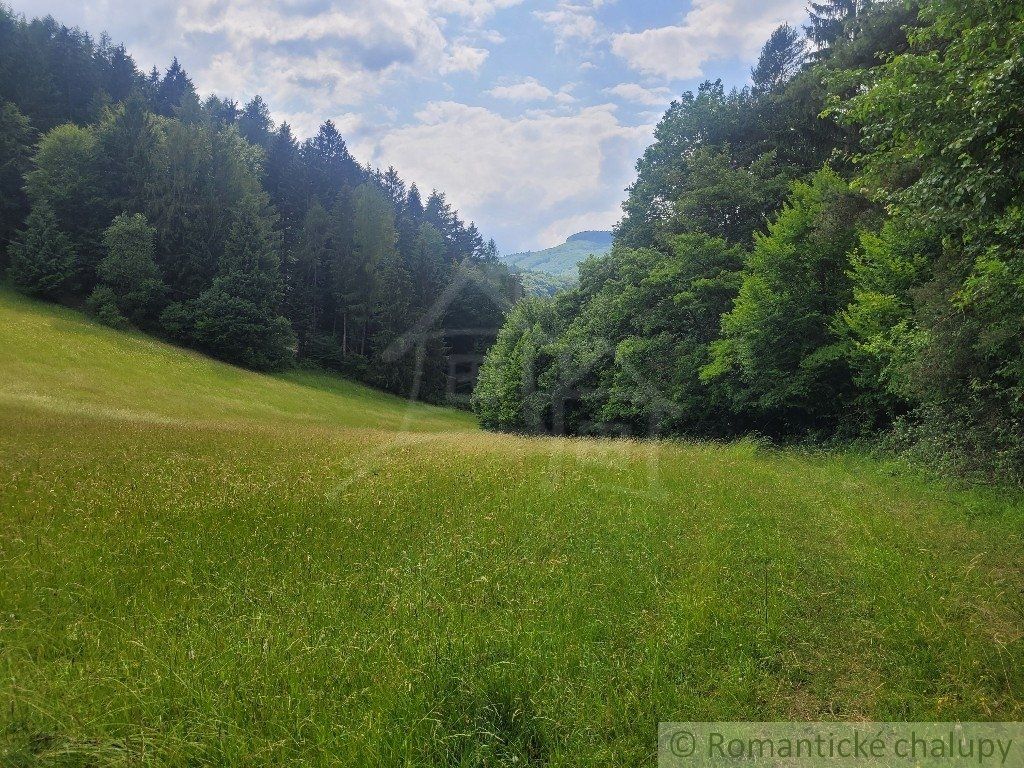 Rekreačný pozemok pri lese s krásnym výhľadom nad obcou Záriečie