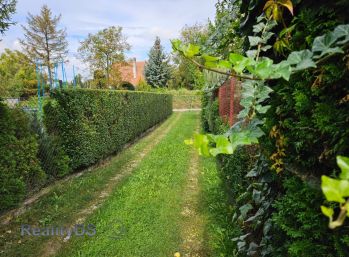 Predaj záhradnej chatky na 400 m2 oplotenom pozemku v cnetre obce Dobrohošť, vhodná investícia !