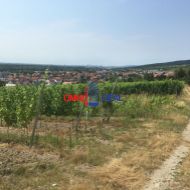 Obrábaný vinohrad 37 árov - Vinosady, sírka 27 m, lokalita pri Modranskej ulici aj ako Investícia