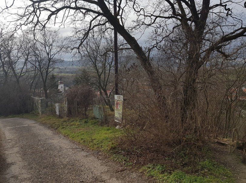 Pozemok na Devíne! 796m2 s nádherným výhľadom na hrad Devín.