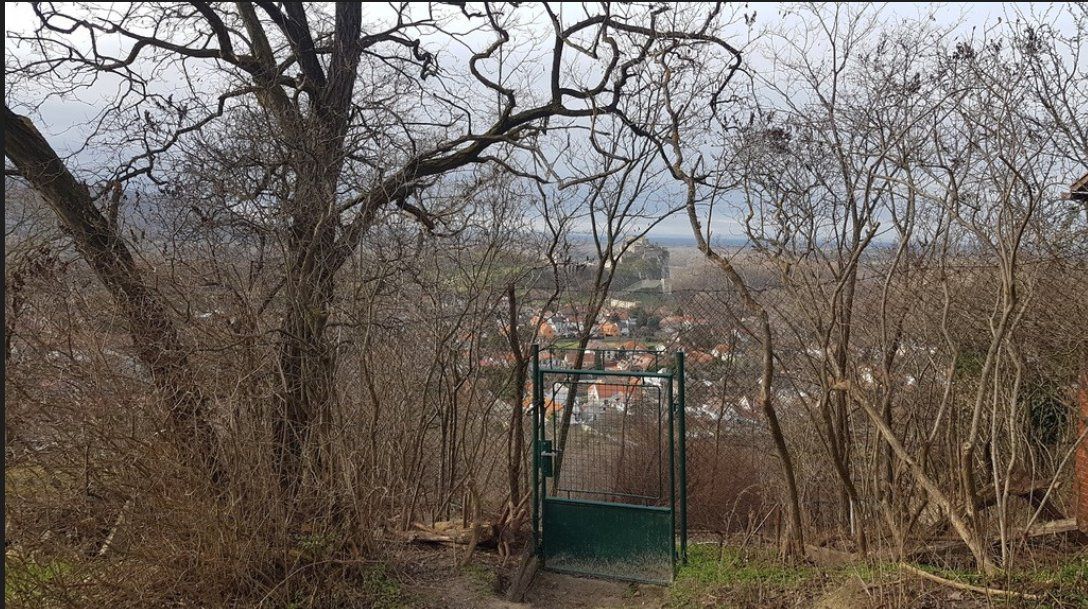 Pozemok na Devíne! 796m2 s nádherným výhľadom na hrad Devín.