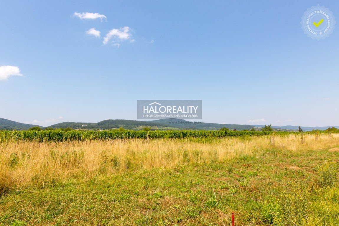 HALO reality - Predaj, pozemok pre rodinný dom   862 m2 Modra, Modra - Kráľová - ZNÍŽENÁ CENA - EXKLUZÍVNE HALO REALITY