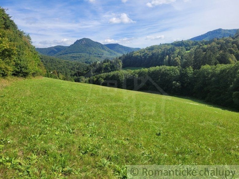 Ostatné plochy-Predaj-Beluša-39900.00 €