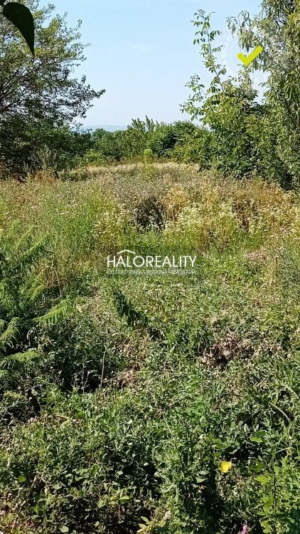 HALO reality - Predaj, rodinný dom Gbelce, s veľkou záhradou - EXKLUZÍVNE HALO REALITY