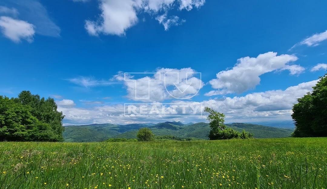 Rekreačný pozemok-Predaj-Horné Srnie-18990.00 €