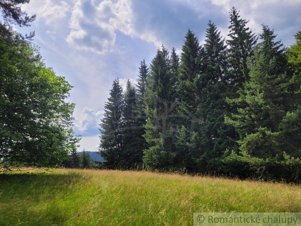 Väčší pozemok v horách nad Lazmi pod Makytou - Čertov