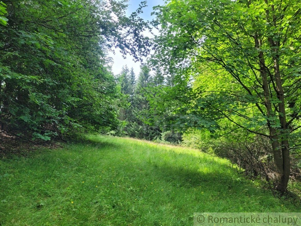 Väčší pozemok v horách nad Lazmi pod Makytou - Čertov