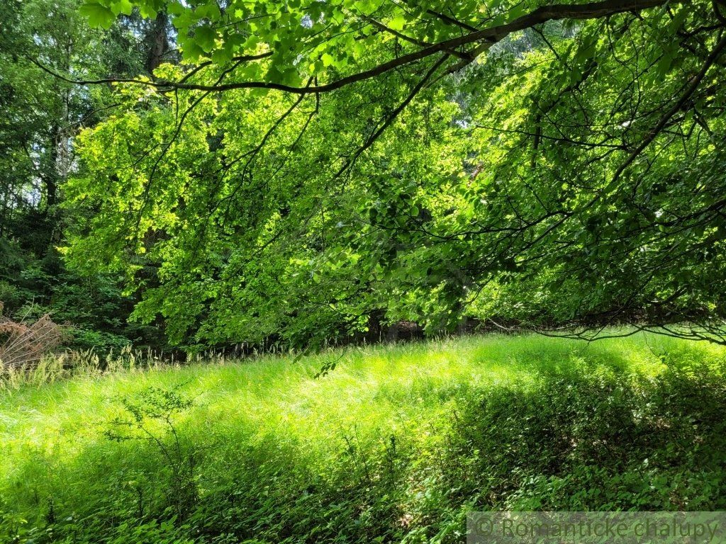 Väčší pozemok v horách nad Lazmi pod Makytou - Čertov