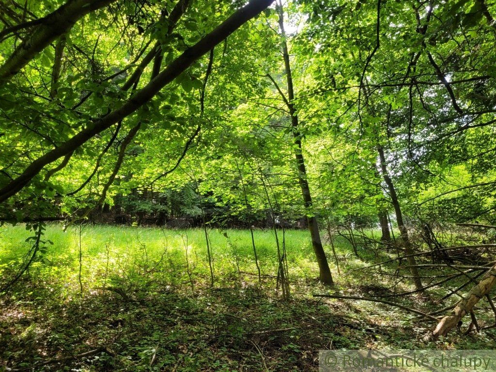 Väčší pozemok v horách nad Lazmi pod Makytou - Čertov