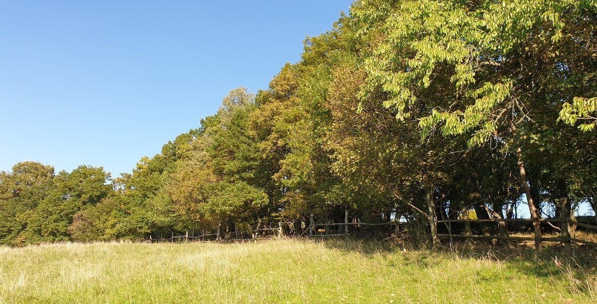 Slnečný takmer hektárový pozemok (9410m²) v k.ú. Kuchyňa s nádherným panoramatickým výhľadom na Rakúsko