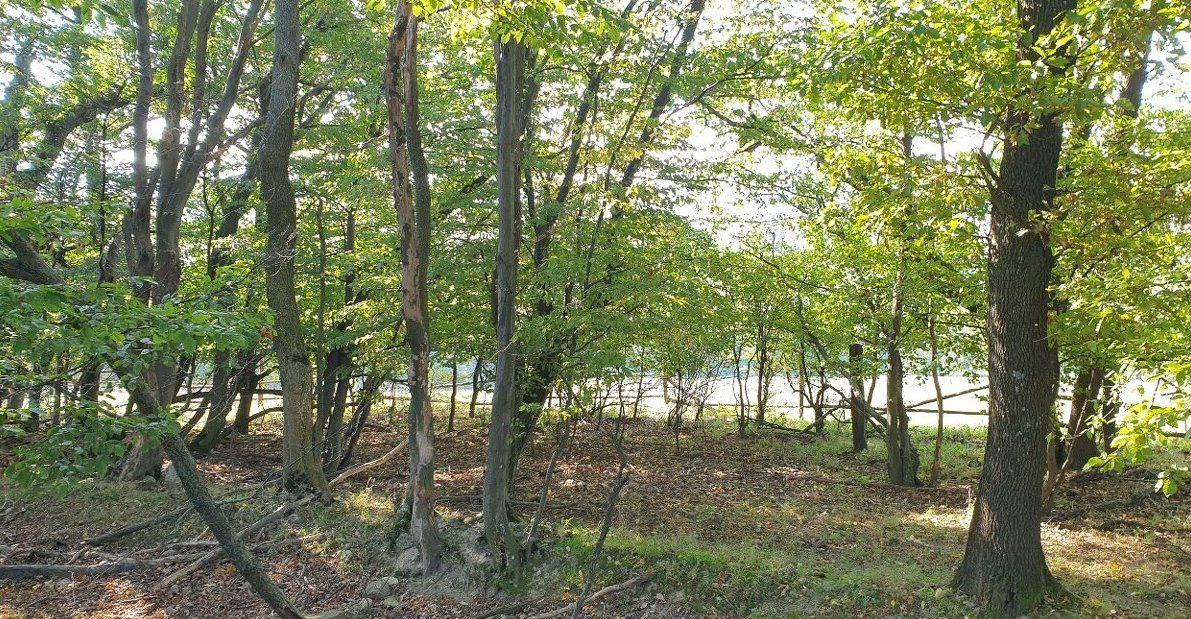 Slnečný takmer hektárový pozemok (9410m²) v k.ú. Kuchyňa s nádherným panoramatickým výhľadom na Rakúsko