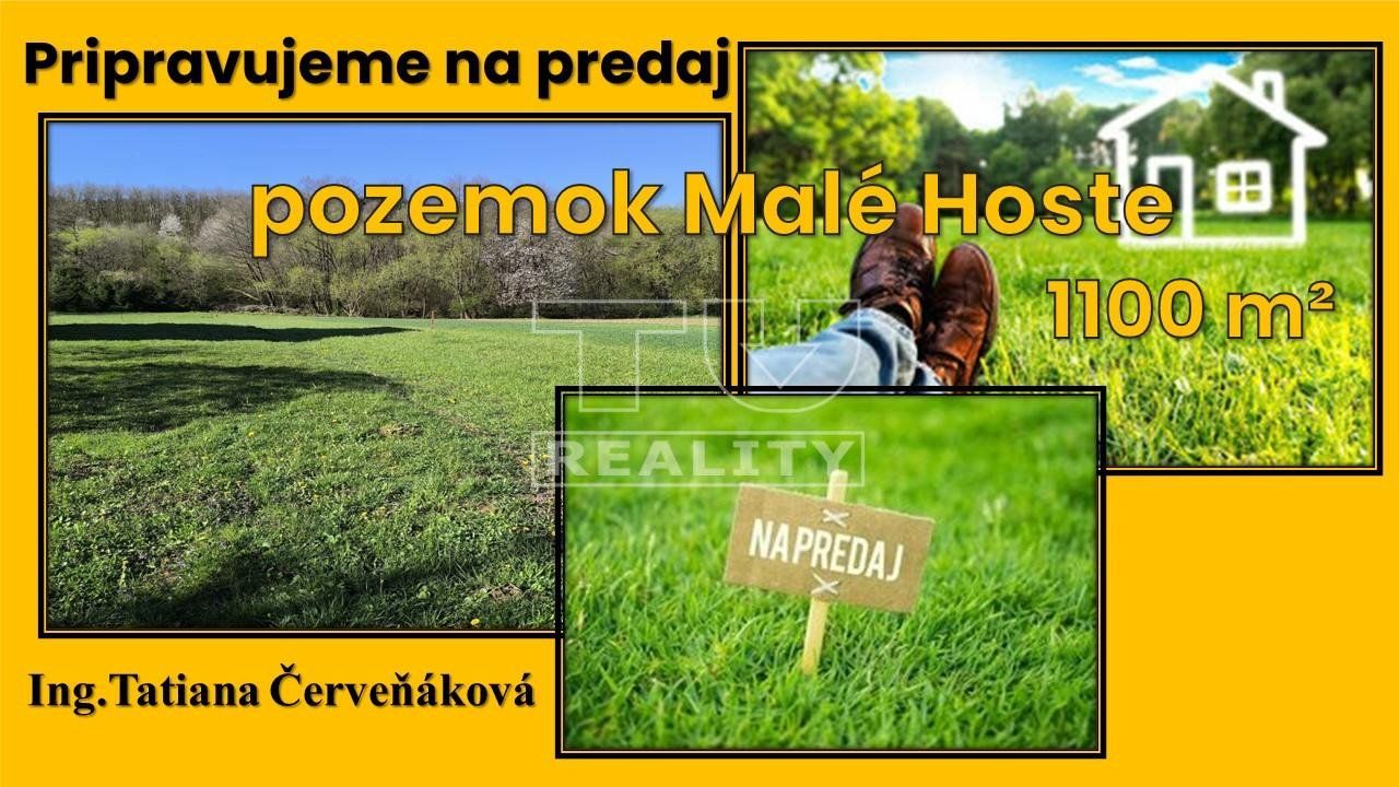 Pozemok pre bytovú vystavbu-Predaj-Malé Hoste-30000.00 €