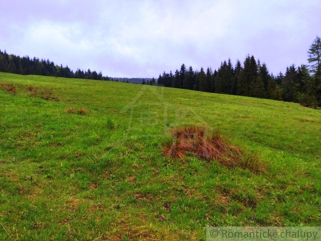 Pozemok s krásnym výhľadom neďaleko Ski centra, Litmanová