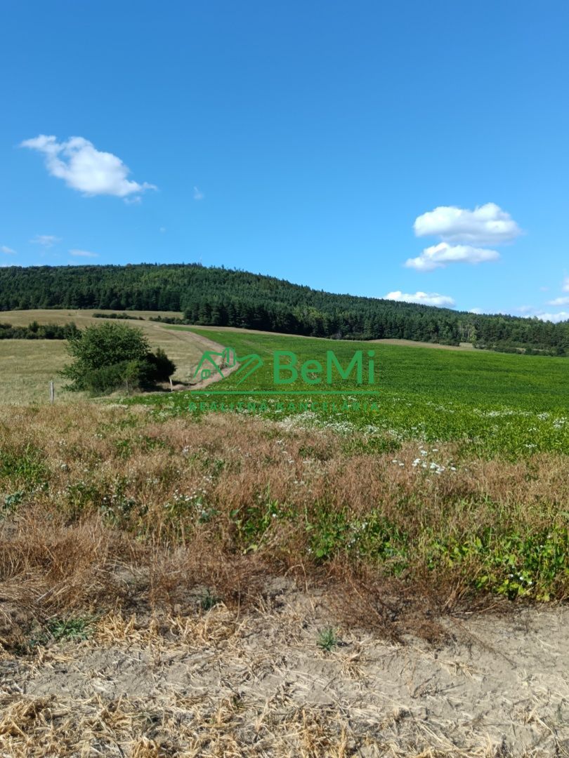 Predaj, pozemok, 1806m2, obec Bitarová, okres Žilina (238-14-MACHa)