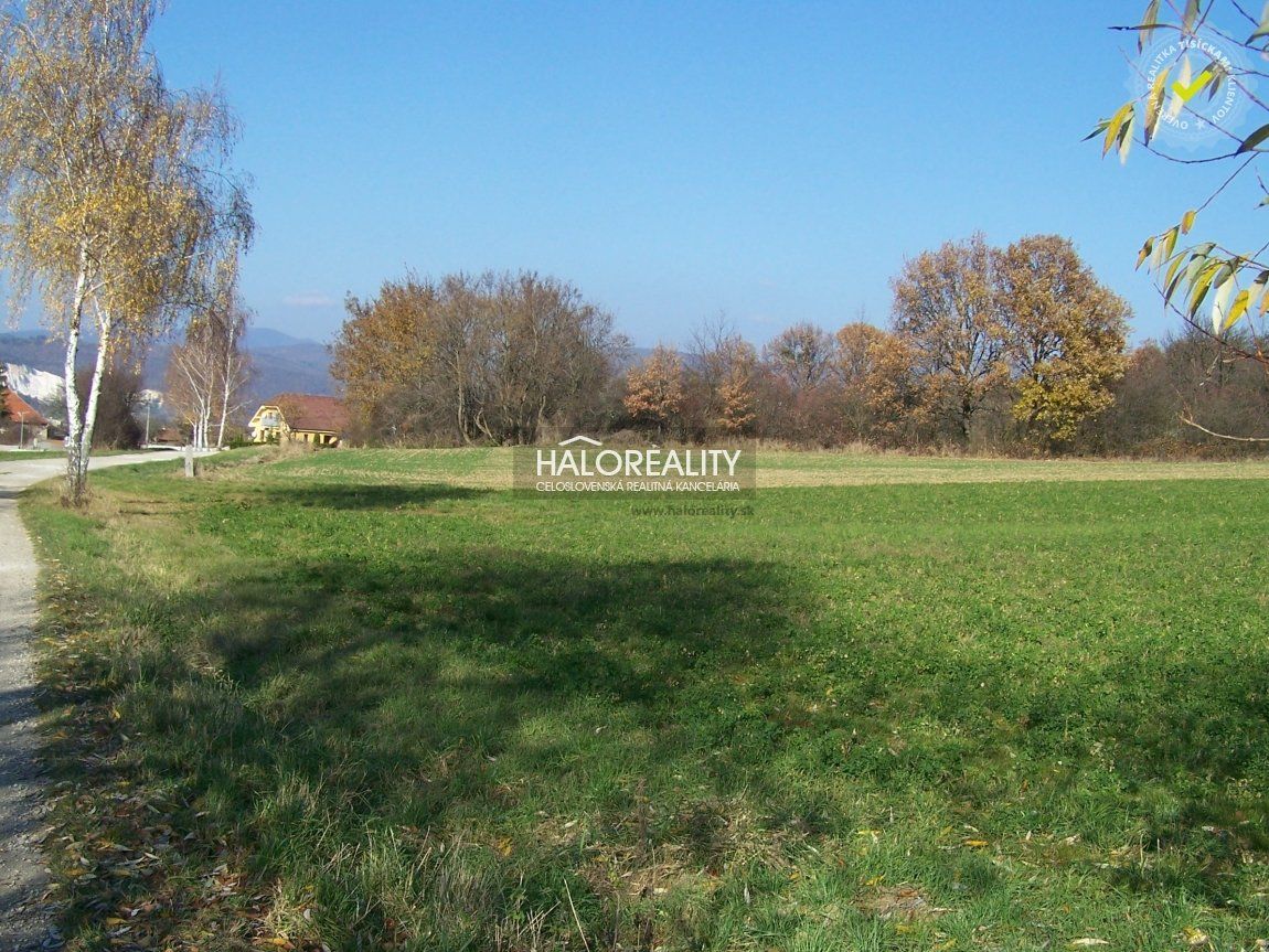 HALO reality - Predaj, pozemok pre rodinný dom   7430 m2 Oslany