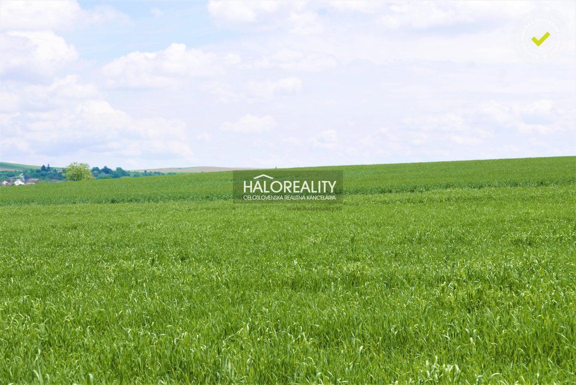 HALO reality - Predaj, pozemok pre rodinný dom 965 m2 Rimavské Janovce - EXKLUZÍVNE HALO REALITY