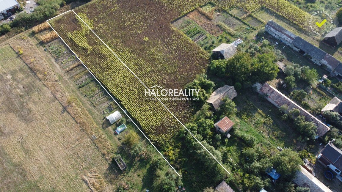 HALO reality - Predaj, záhradný pozemok   2370 m2 Tornaľa, Alexandra Pénteka - EXKLUZÍVNE HALO REALITY