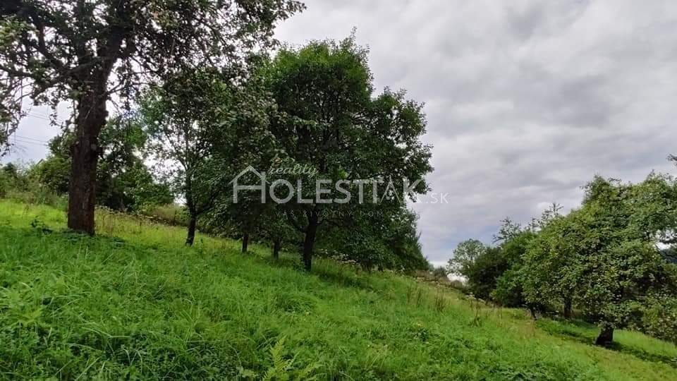 Zvýhodnená cena Predám pozemky a dom s veľkou záhradou Skalité, iba u nás