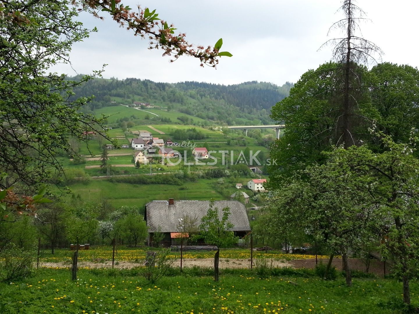 Zvýhodnená cena Predám pozemky a dom s veľkou záhradou Skalité, iba u nás