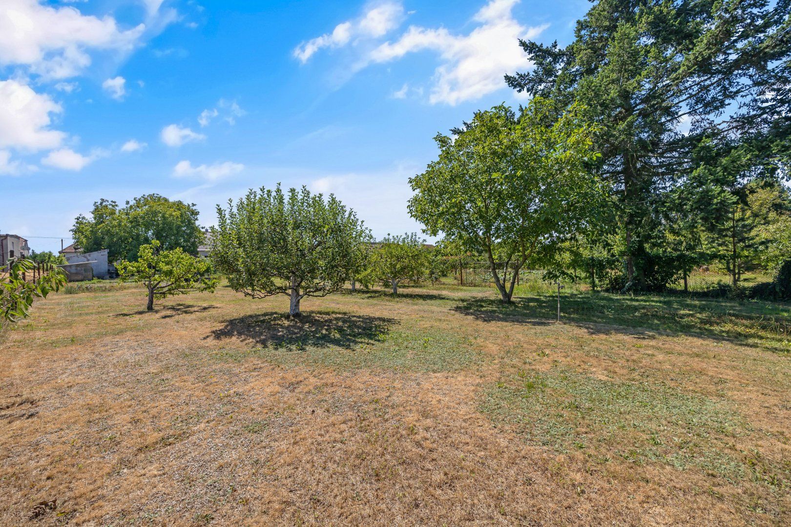 Na predaj veľmi pekný dom v obci Bodské na pozemku o rozlohe 1749m2 !