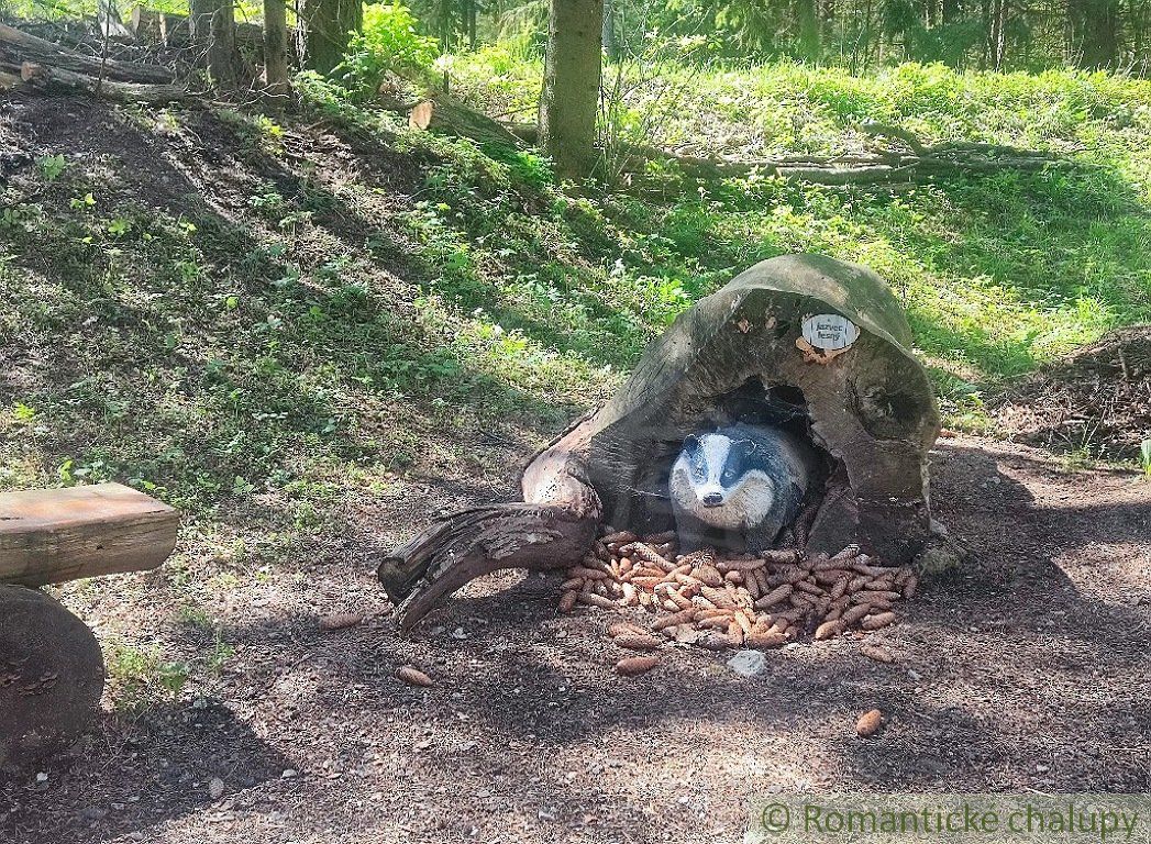 Dom aj na chalupu s rovným slnečným pozemkom Staré Hory pod Donovalmi, Banská Bystrica