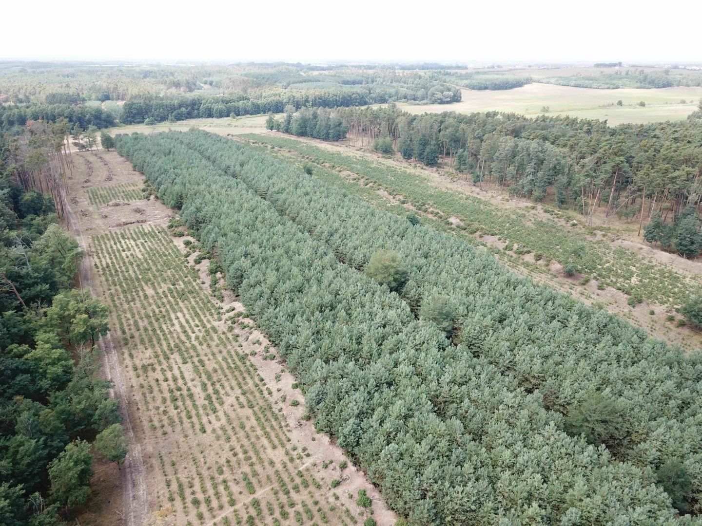 Pozemok pri jazere (18.000 m2) v obci Borský sv. Jur