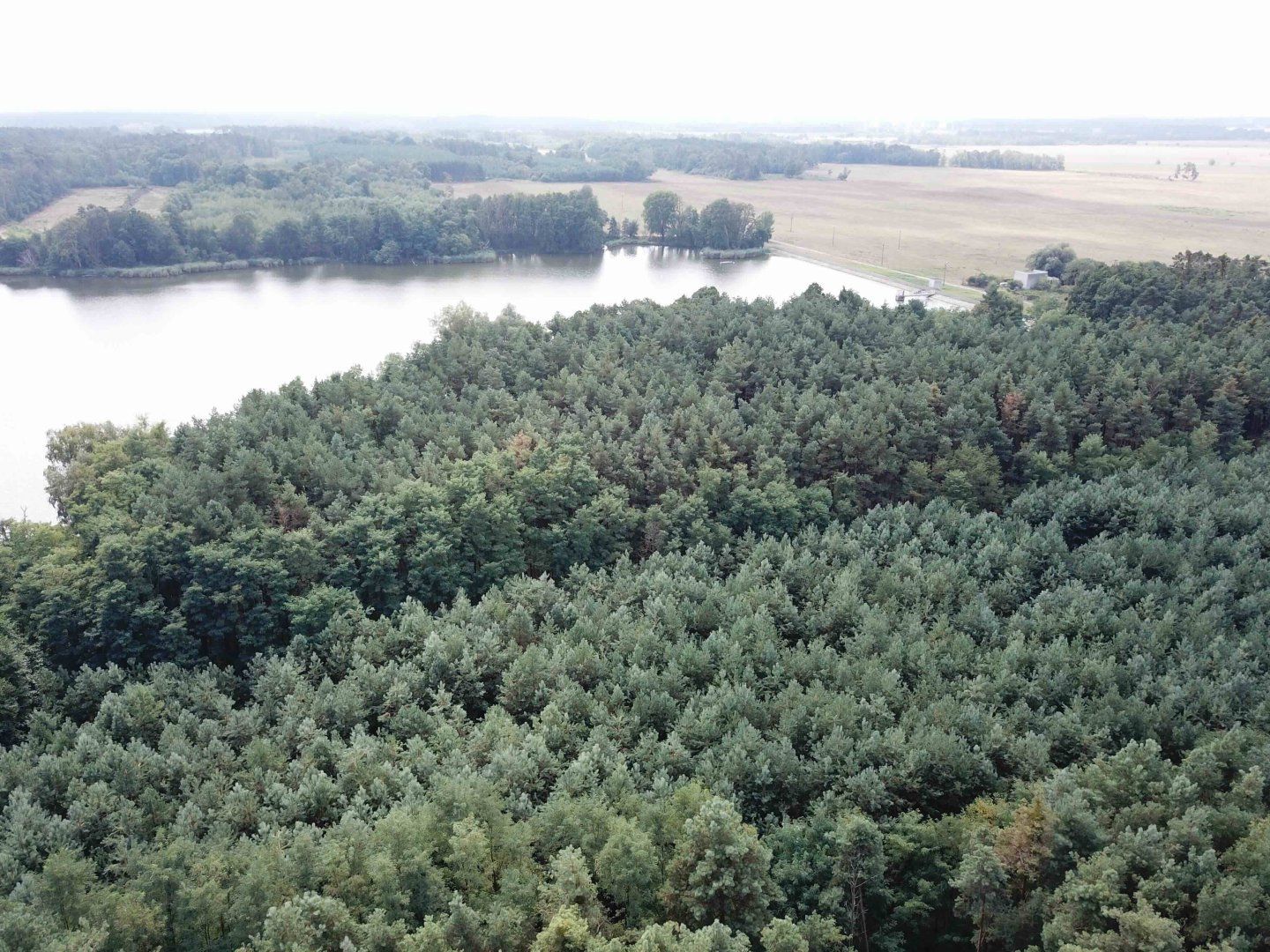 Pozemok pri jazere (18.000 m2) v obci Borský sv. Jur