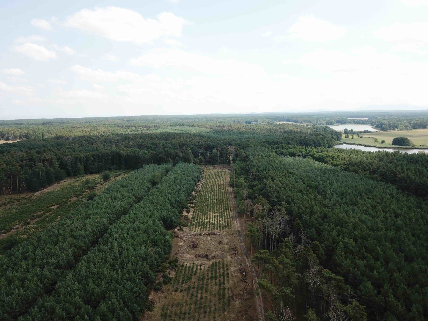 Pozemok pri jazere (18.000 m2) v obci Borský sv. Jur