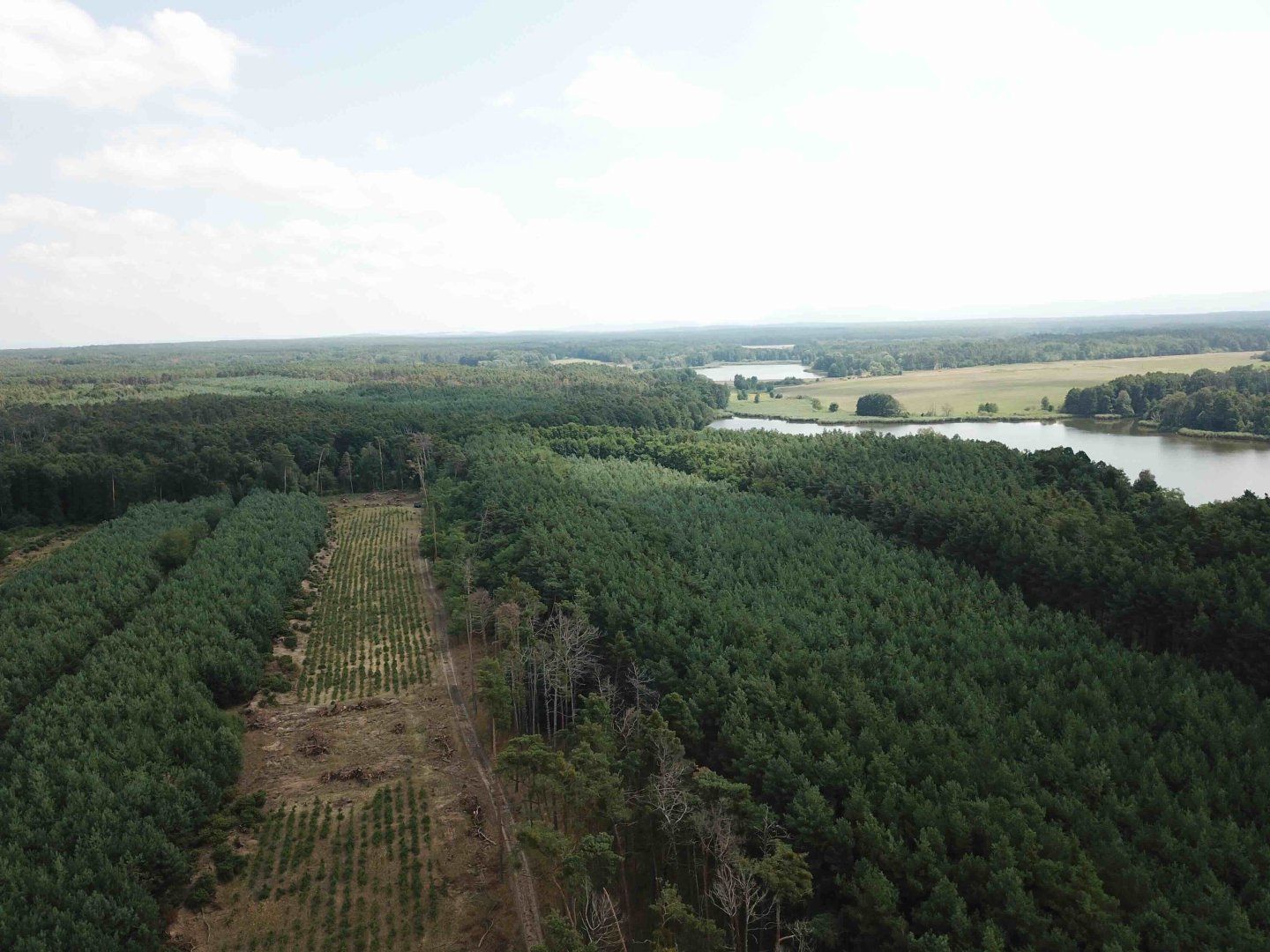 Pozemok pri jazere (18.000 m2) v obci Borský sv. Jur